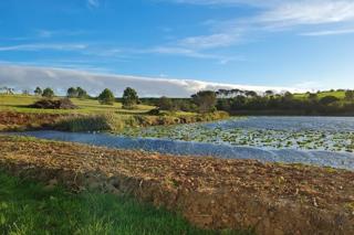 Commercial Property for Sale in Kabeljauws Eastern Cape